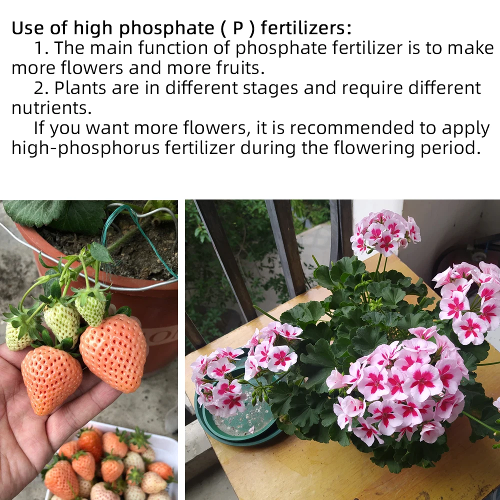 100g Bottled Professional Flower Water-Soluble Fertilizers High Phosphorus ( P ) Plant Food NPK For More Flowers & Fruits