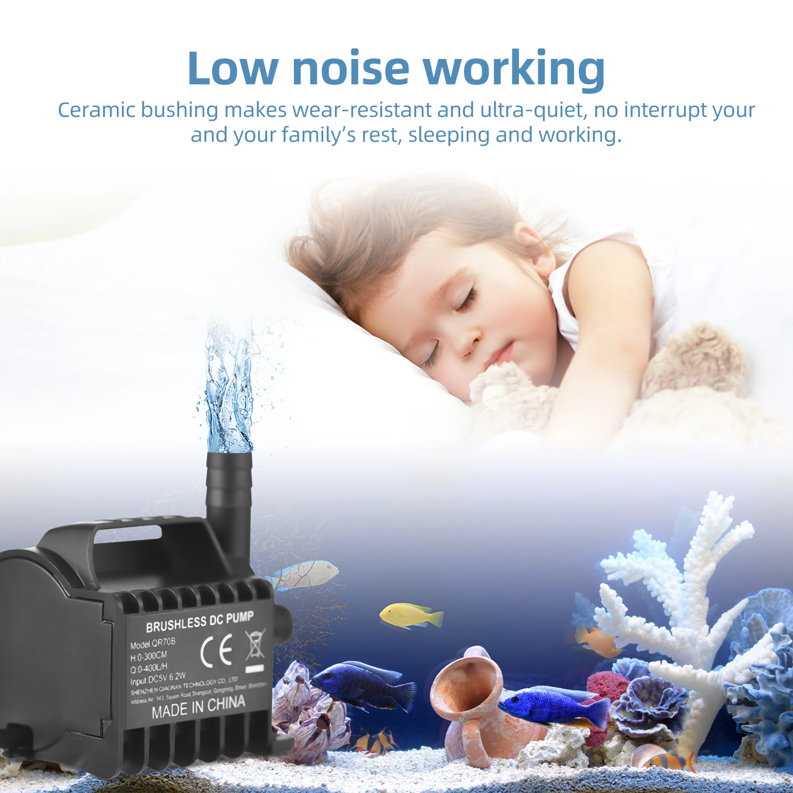 Thumbnail 4 - #17 Ponds Ranking List in 2026