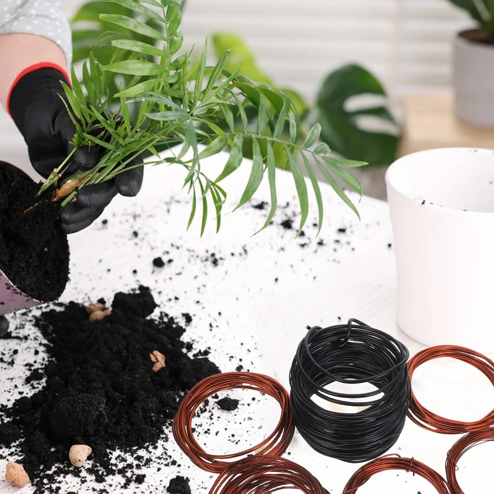 10Pcs Flexible Aluminum Wire Bonsai Training Bendable for Tree Shaping Crafts Garden Supplies Small Money Tree view 3