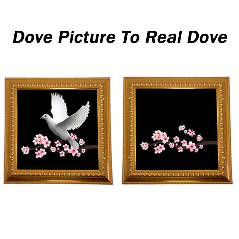 Stage Magic Tricks Dove Picture To Real Dove (Gold Frame) Real Dove Appearing Production Magic Illusions Gimmicks Mentalism Show