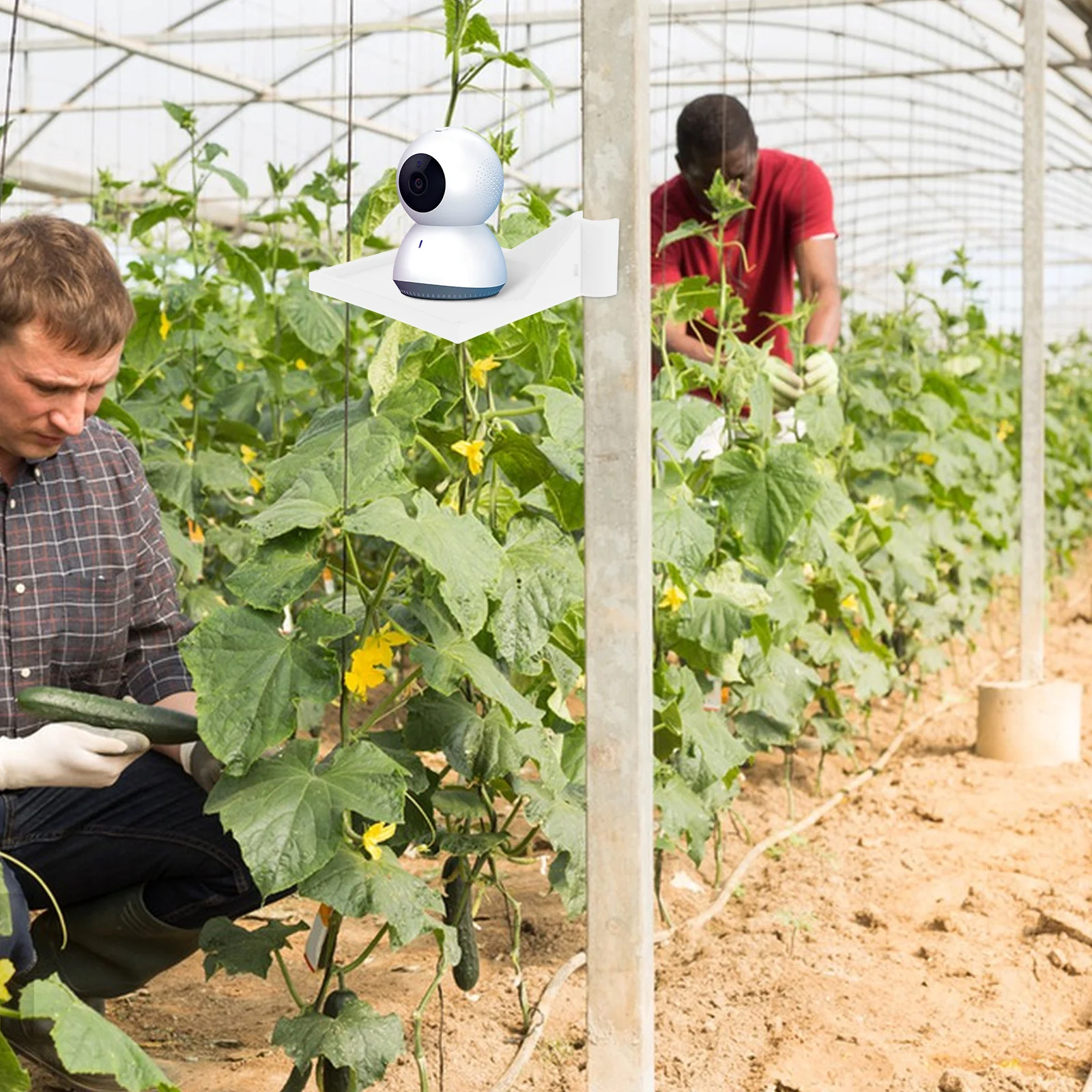 

2 шт., 16 мм, угловая полка для палатки, стабильная поддержка, многофункциональный дизайн для внутренних садовых аксессуаров для теплиц