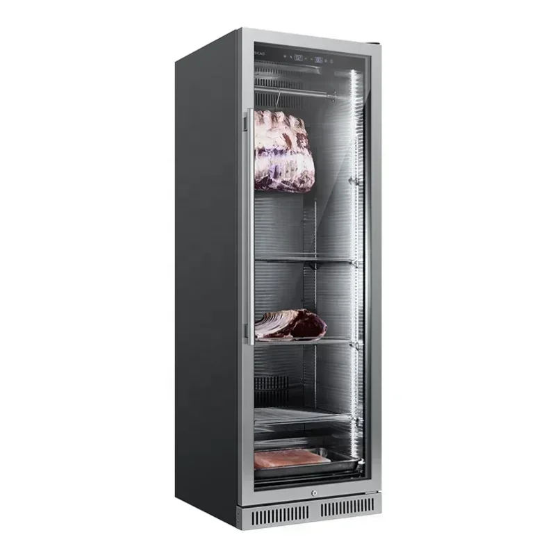Ready Stock Commercial Display Cheese Salami Dry Aged  teak Beef Dry Aging Refrigerator Hot sales