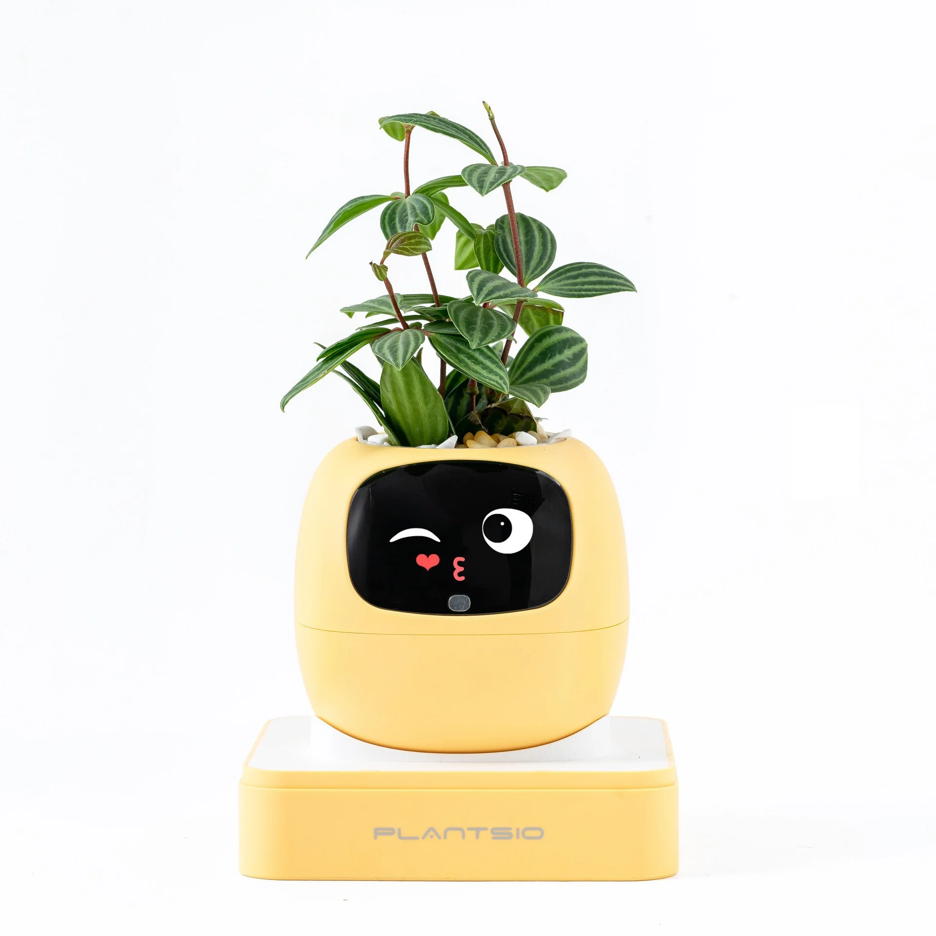 2026 New Second Generation Smart Planter with 49 Expressive Faces, 7 AI Chips - Makes Plant Care Easy, Fun & Automatic