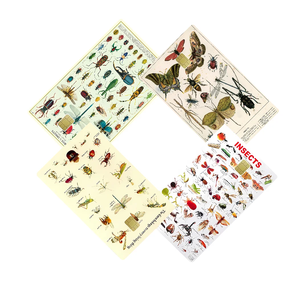 

Animal Insect Anime Cartoon Bear Skin Sticker Film Tape Case For Big Credit Debit Card Front Side