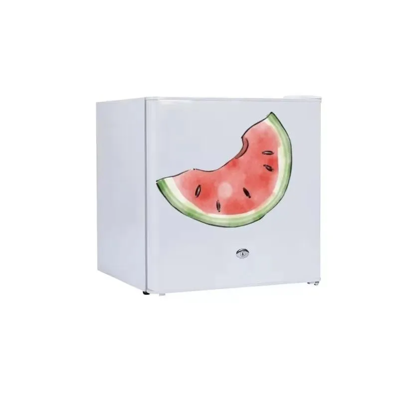 for 12V refrigerator, solar small DC refrigerator, mini single door refrigerator 50 liters car refrigerator, excluding solar