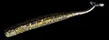 goldblack