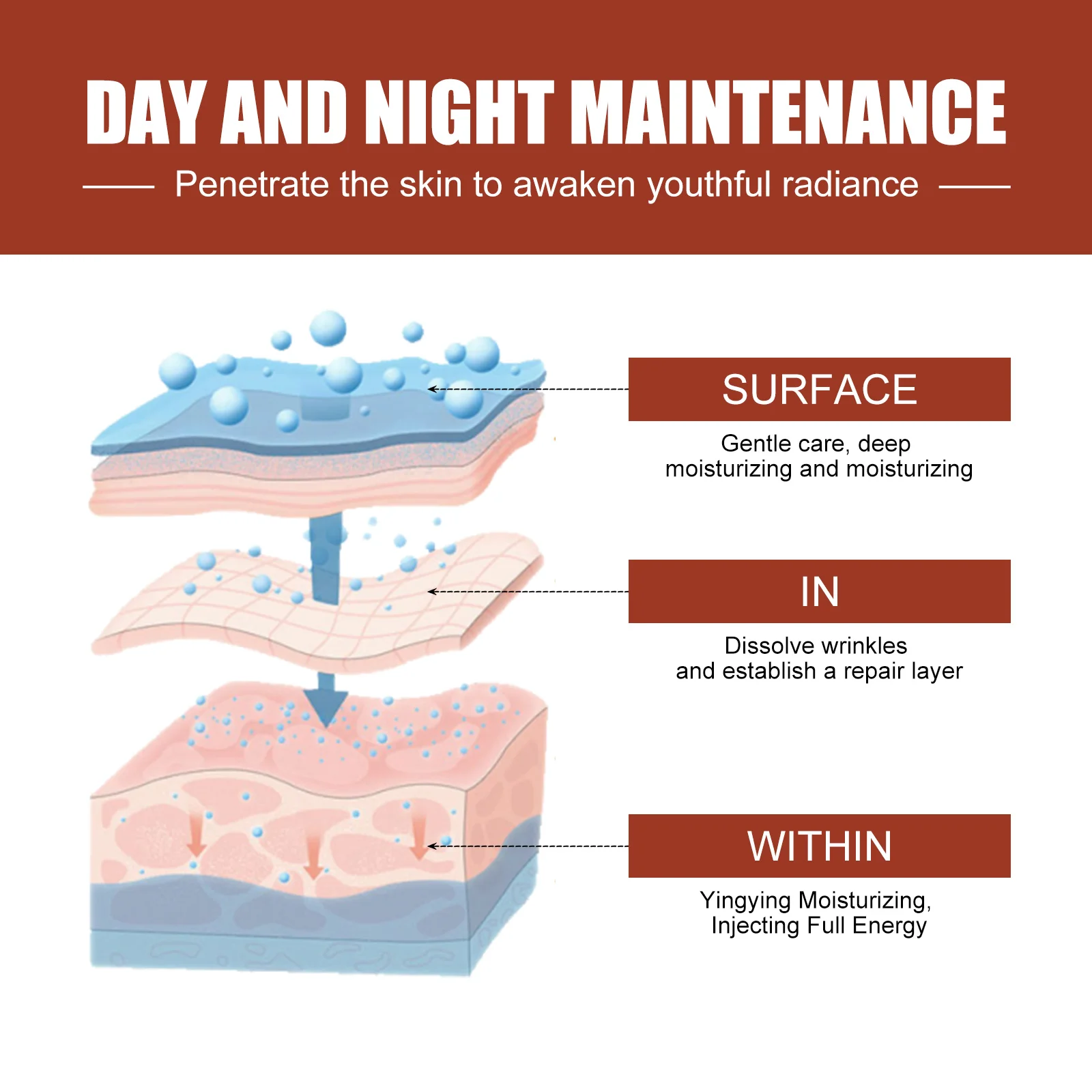 Palmitoylpeptide Reversal Serum Facial Serum, Light Pattern Moisturizing Firming Serum