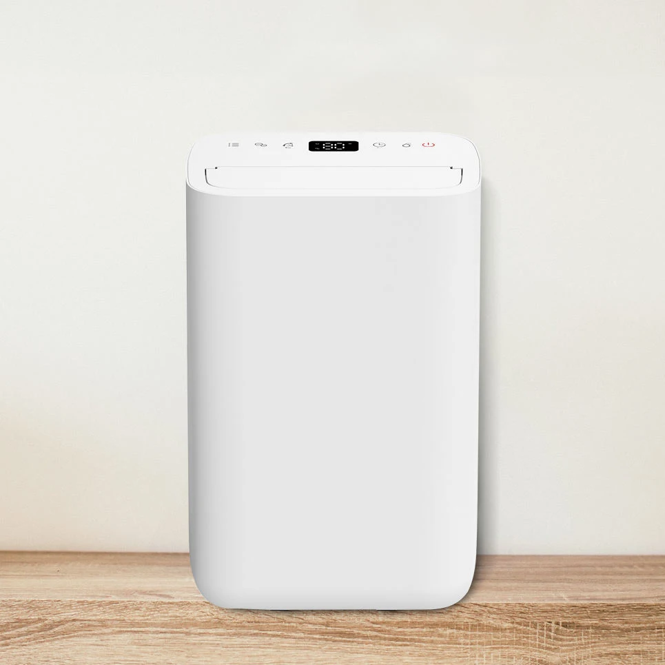 

Wholesale Bedroom Dehumidifier 10 Liters Automatic Home Portable Small Dehumidifiers for Home 10L