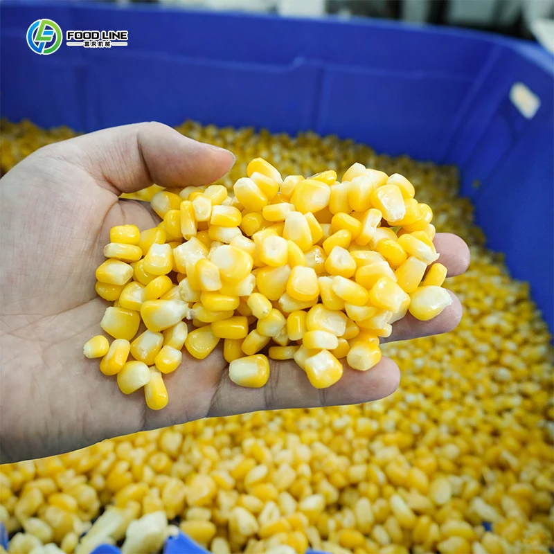 High Efficiency Fresh Sweet Corn Thresher Machine Multipurpose Maize Sheller Serviceable Design for Farm Commercial Use