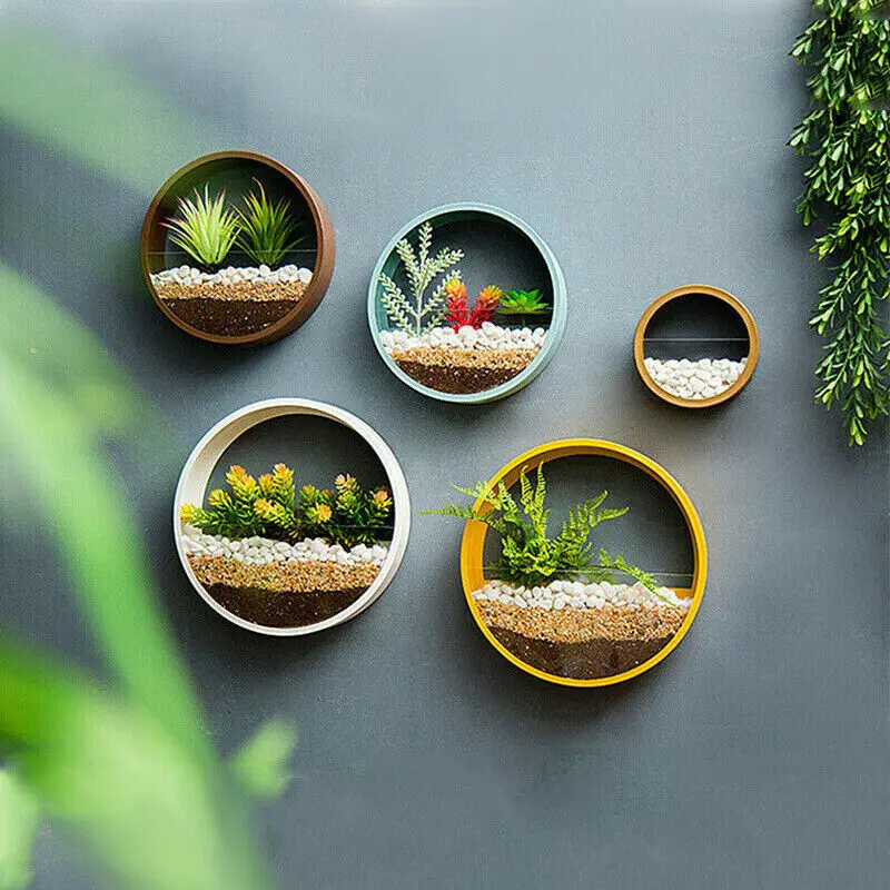 Modern Wall Planters - Hanging Succulent Pots with Circle Metal Frame for Indoor and Outdoor Decor