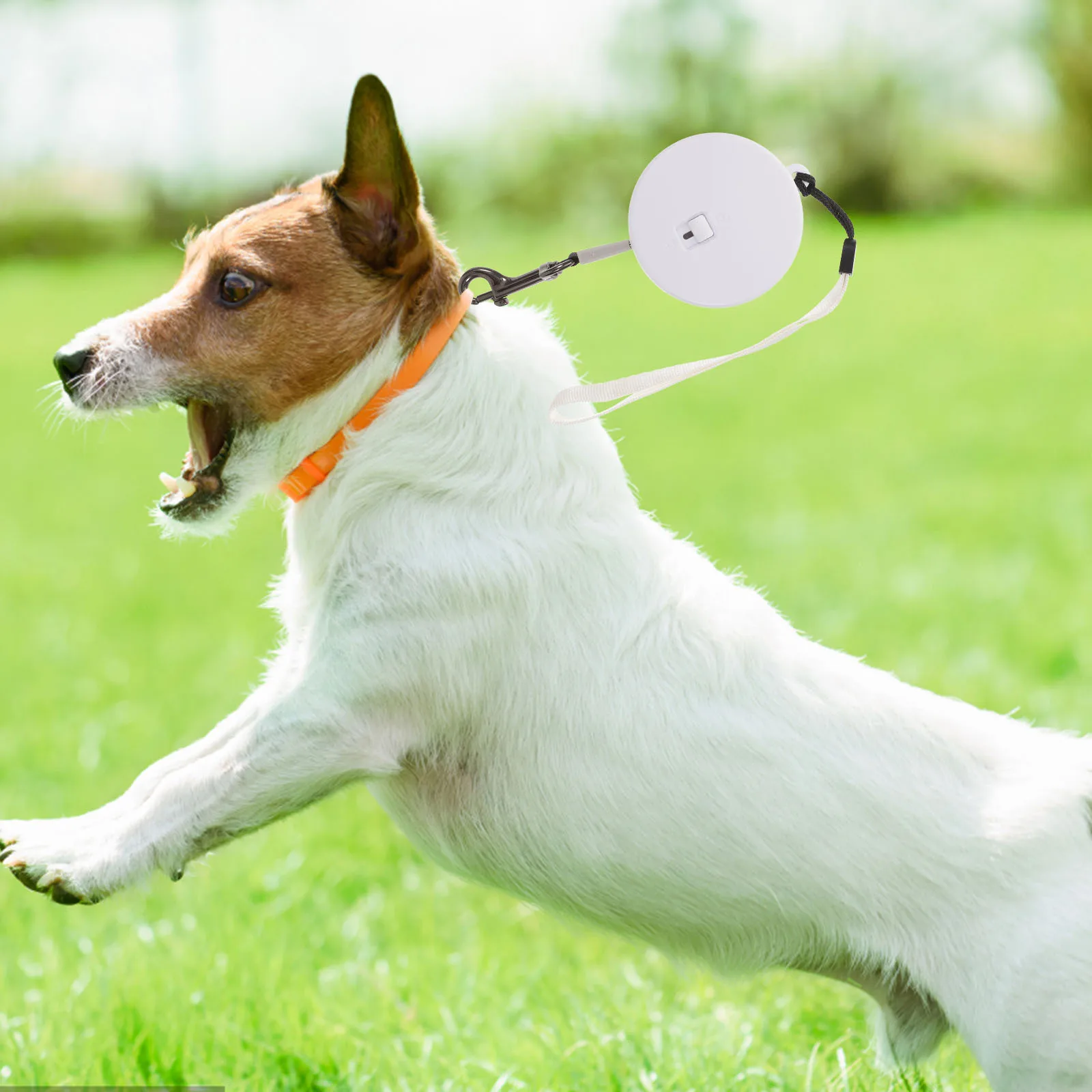 

Retractable Dog Leash for Medium Dogs Stable Hook Long Service Life Pet Walking Supplies Retractable Dog Leash for Medium Dogs