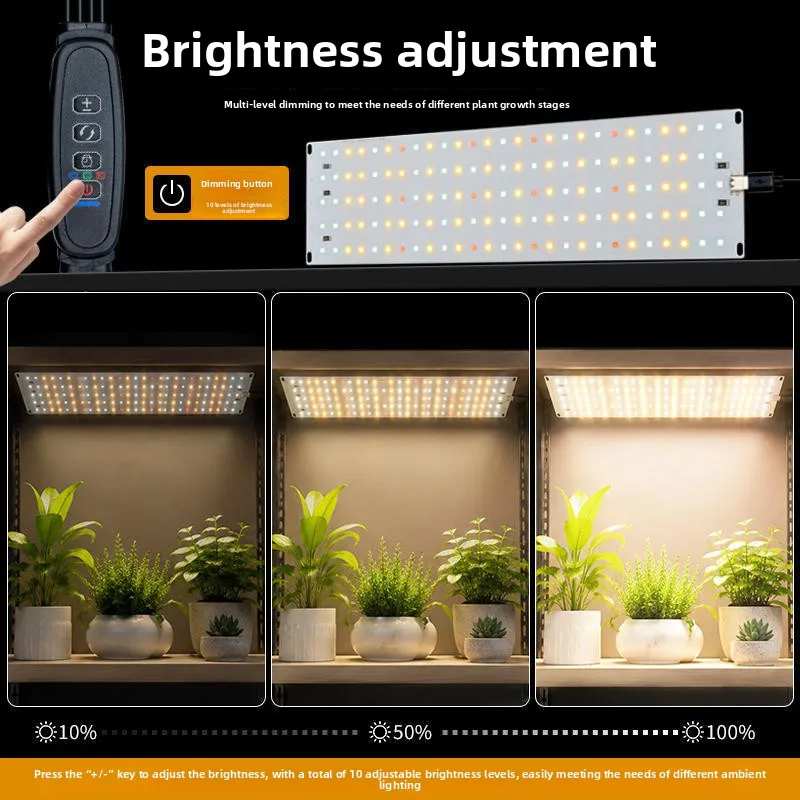 2026 New 12V Full Spectrum Square Quantum LED Plant Light, Timable Grow Supplement Lamp for Indoor Plant Cultivation