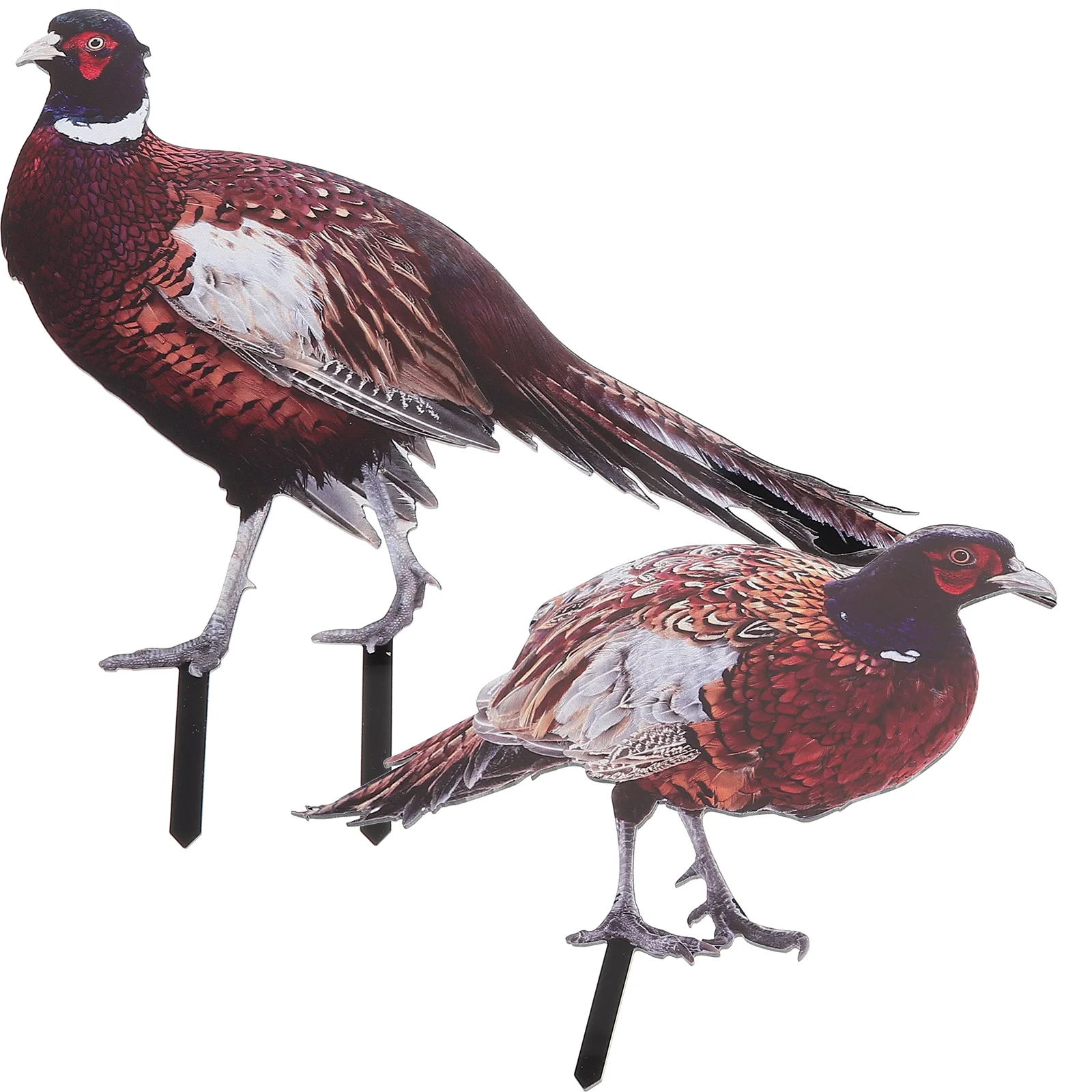 

2 Pcs Pheasant Decor Garden Decoration Stake Yards Decorative Decorations Outdoor