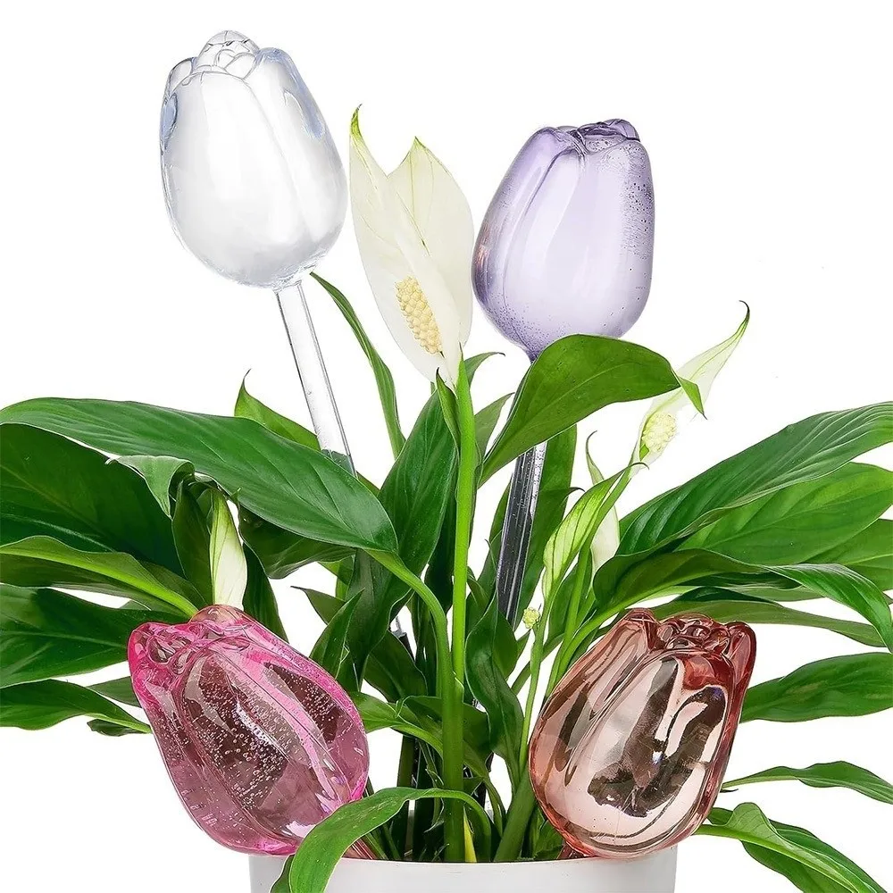 Plastic Tulip Plant Watering Globes Transparent Water Conservation Potted Watering Artifact Time-Saving Drip Irrigation System