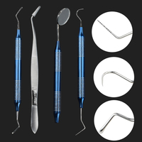 Kit Oral Care Tool Hygiene Tool Explorer Probe Dentist Tartar Scraper Scaler Calculus Plaque Remover Teeth Cleaning