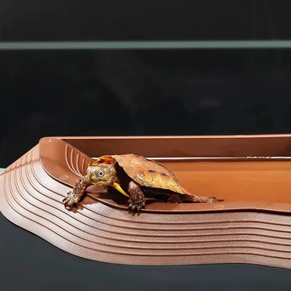 Gelber Rand Schildkröten-Badebecken, halb wasserbedecktes Reptilien-Badebecken, Wasser- und Futter-Doppelzweck-Krabbelbecken für Haustiere, Zuchtbox, Landschaftsgestaltung – Detail 15