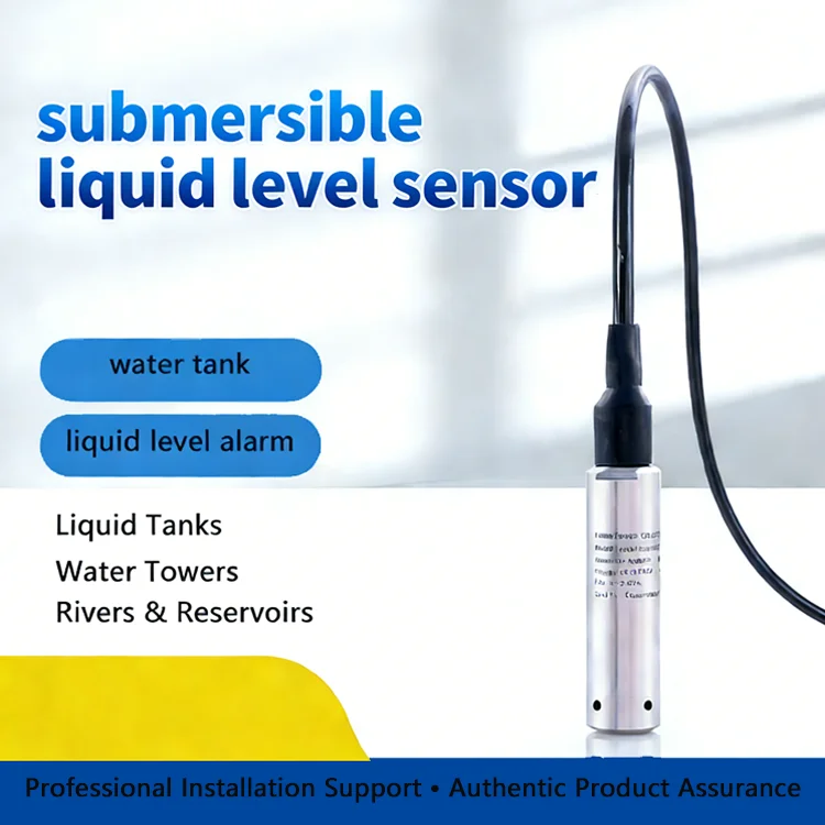PL 301 Stainless Steel Submersible Level Transmitter with 0.05% Accuracy and Current/Voltage Output