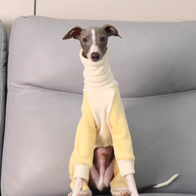 Dog Coats Italian Greyhound Turtleneck Four-legged Jacket Soft Stretch Warm Whippet Color-blocking Warm Pet Clothing Jackets
