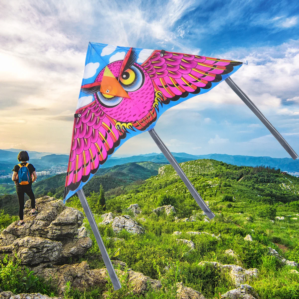 Cerf-volant en soie imperméable de 60cm, 10 pièces, Triangle volant, hibou, coccinelle, conception, fabrication exquise, activités de plein air pour parc pour enfants