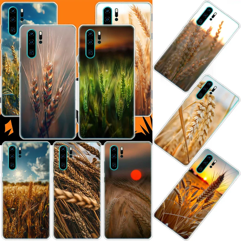 

Mature Wheat Grains Phone Case For Huawei Mate 40 Pro 30 20 Lite 10 Huawei P30 Lite P50 Pro P40 P20 P10 Cover Coque