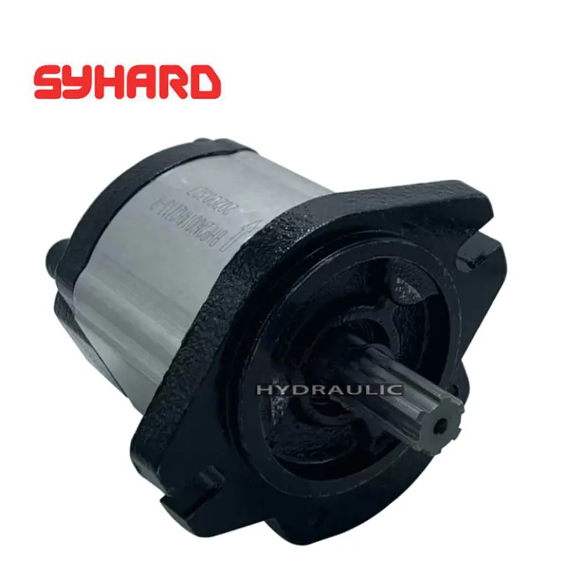 

Gear Pump HDCBDZ-F14AL12H1-BB / HDCBDZ-F3AL12H1-BB / HDCBDZ-F4AL12H1-BB / HDCBDZ-F6AL12H1-BB