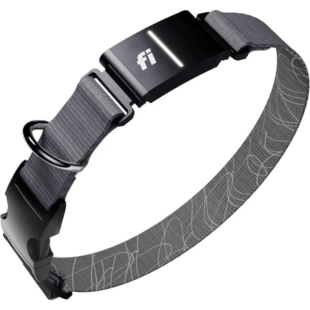 

12-Month Membership GPS & Behavior Monitoring Dog Collar - Waterproof, LED, Watch-Synced (Gray, Large)