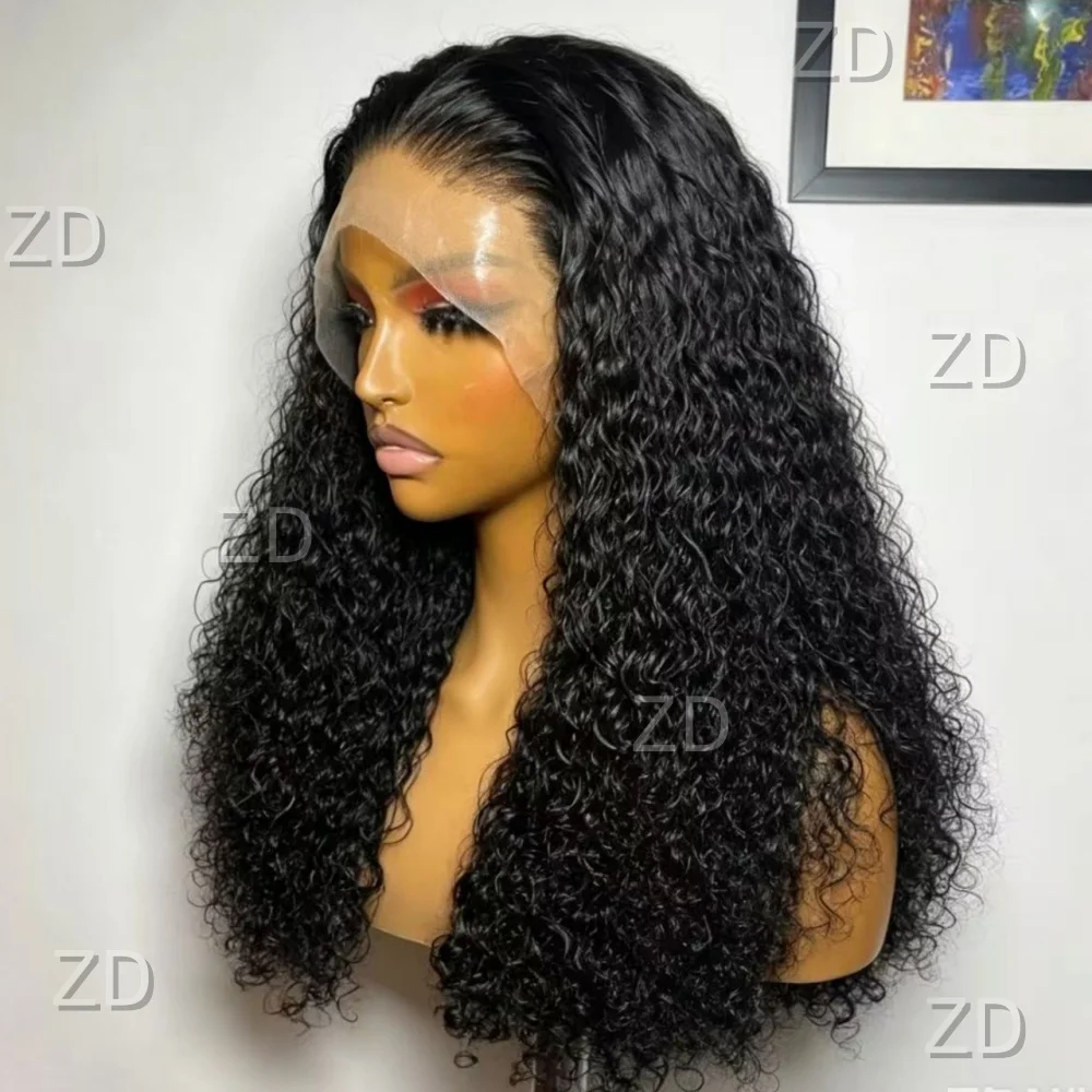 black-soft-curly-hair-fashion-natural-26inch-hd-lace-front-wig-suitable-for-women's-wig