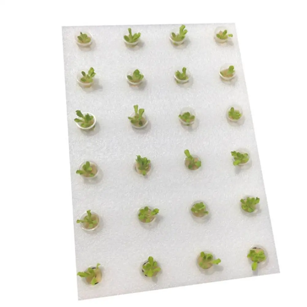 

32Mm Soilless Cultivation Set White Floating Sponges Hole Tray Hydroponics Planting Kits Greenhouse Vegetable Farming Tools