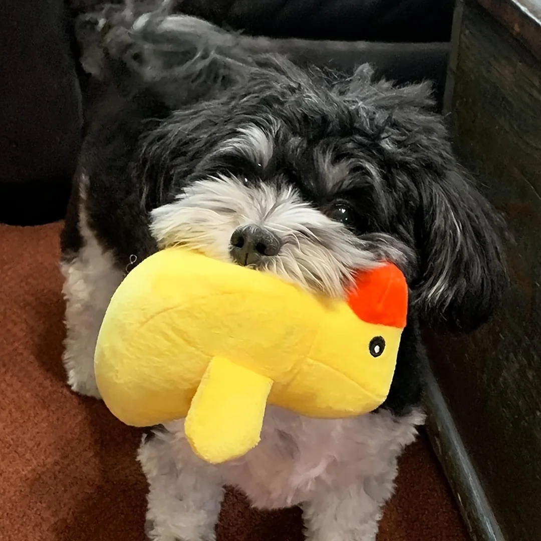 Um conjunto de 7 peças de brinquedos sonoros para cachorros, mastigar animais de estimação de pelúcia soltos, lanches de frutas de pelúcia e brinquedos para cachorros vegetais, adequados para brinquedos fofos