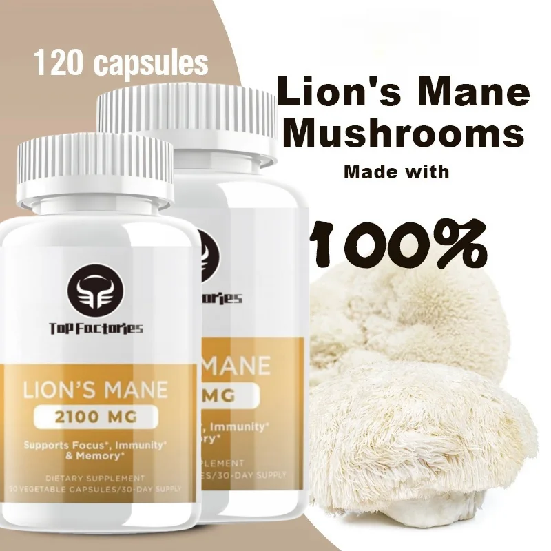 유기 두뇌 강화 퍼즐, 사자 갈기 버섯 캡슐, 흡수 강화제 및 면역 지지대 포함