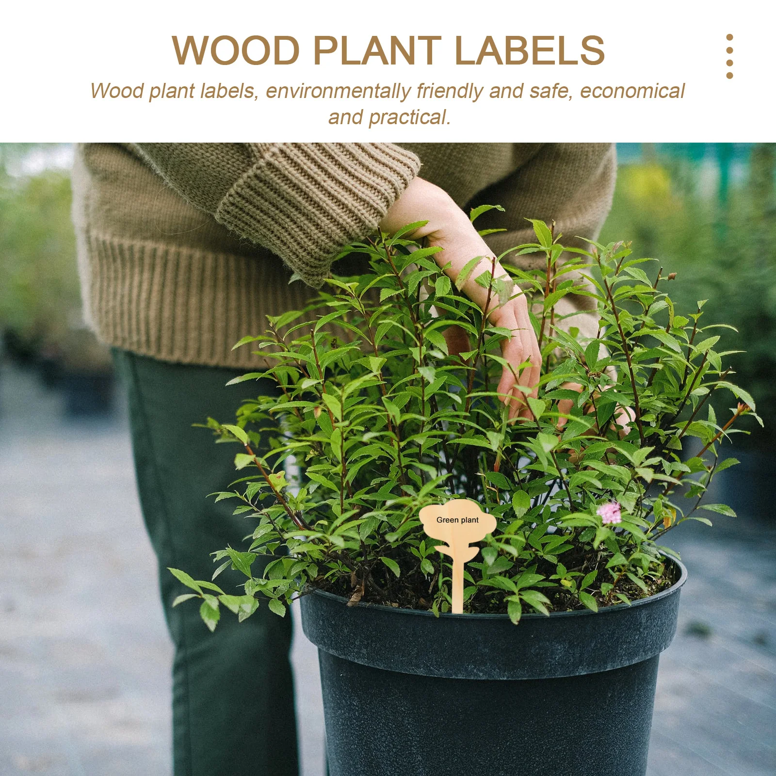 

50pcs Wood Plant Labels Flower Tree Shape Garden Markers Plant Classification Signs For Indoor Outdoor Flower Beds Gardening