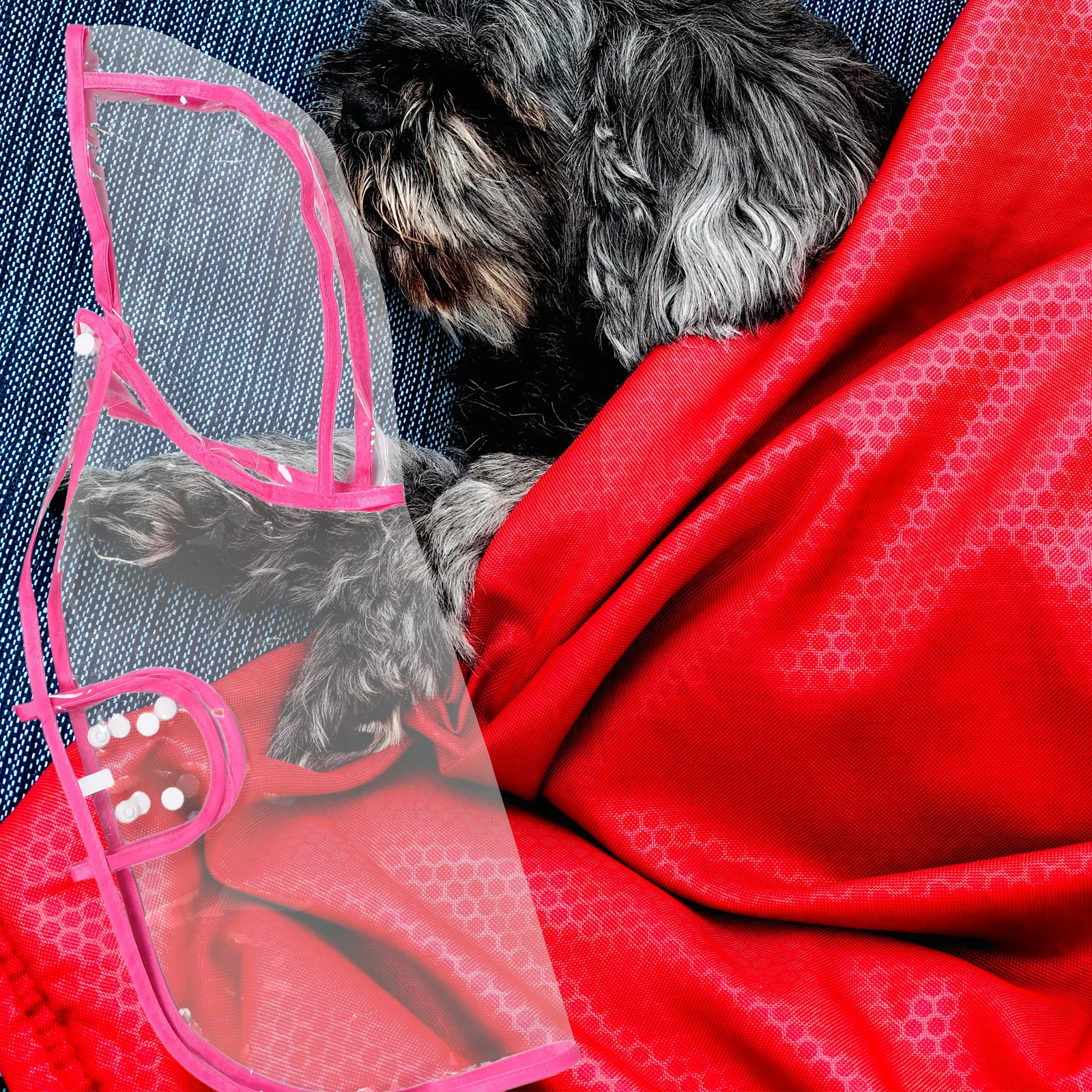 

Waterproof Transparent Dog Raincoat with Hood Clear Pet Jacket for Small Medium Dogs Lightweight Portable Puppy Rain Poncho