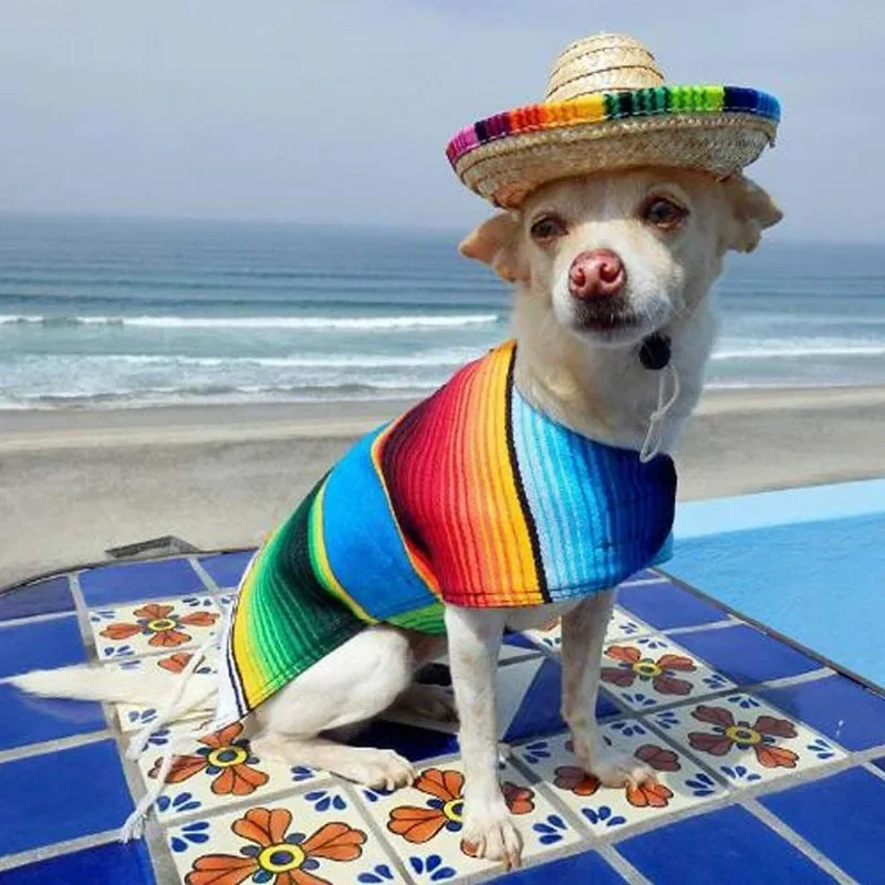 Funny Mexican Sombrero Cap Pet Mini Straw Hat Dog & Cat Straw Sombrero Hat Small Dog Clothes Pet Caps for Halloween Party