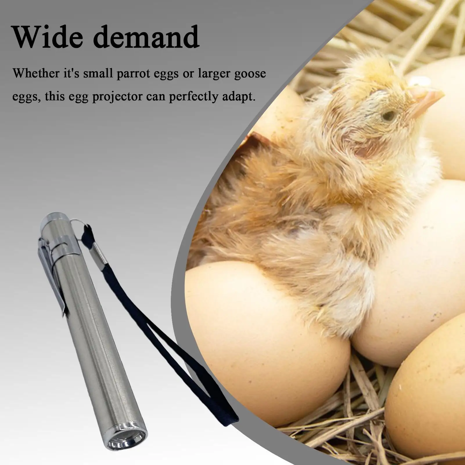 

Яйцо-свеча, светодиодная лампа для свечения, инкубационная лампа для образовательных демонстраций, домашние инкубационные проекты, курица на заднем дворе