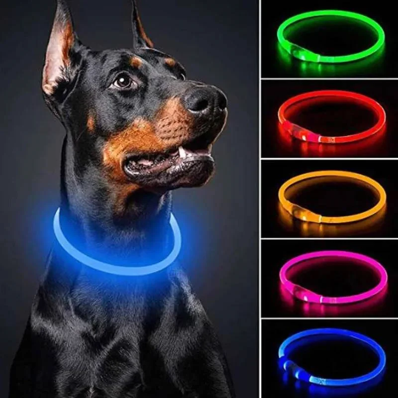 Dog Luminous Charge Collar Led Usb Cat Dogs Collars 3 Modes Detachable Night Led Glow Dog Loss Prevention Collar Pet Accessories