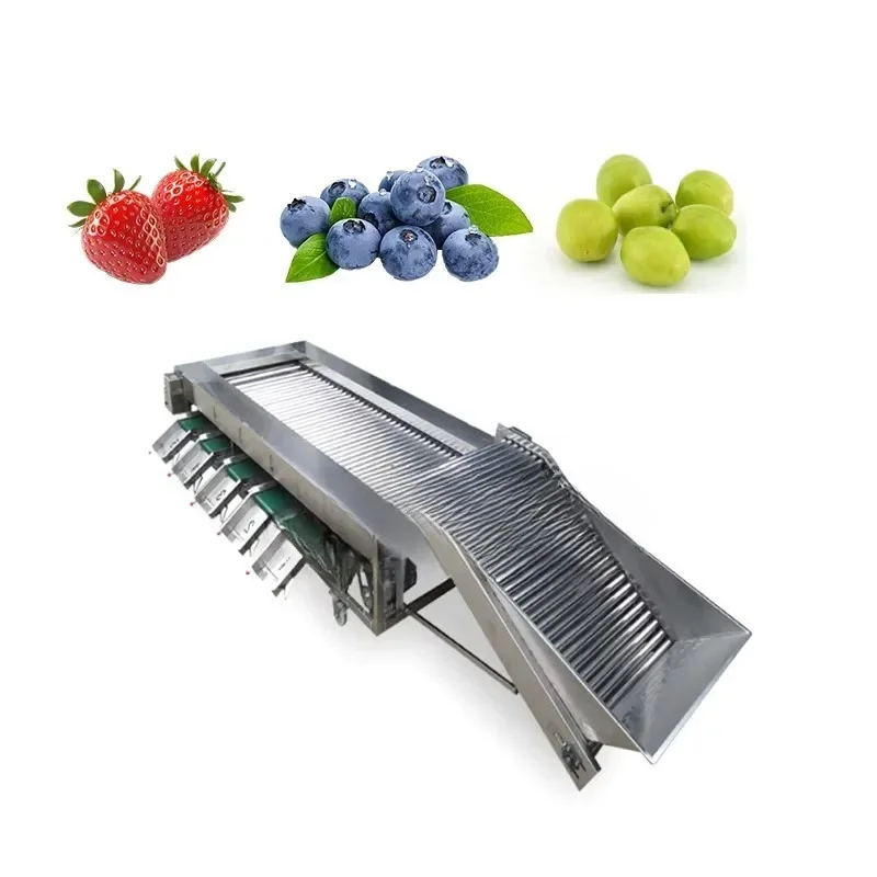 Automatic Mango Raspberry Size Weight Sorter Strawberry Avocado Date Fruit Sorter