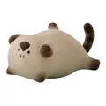 Lying on Its Back