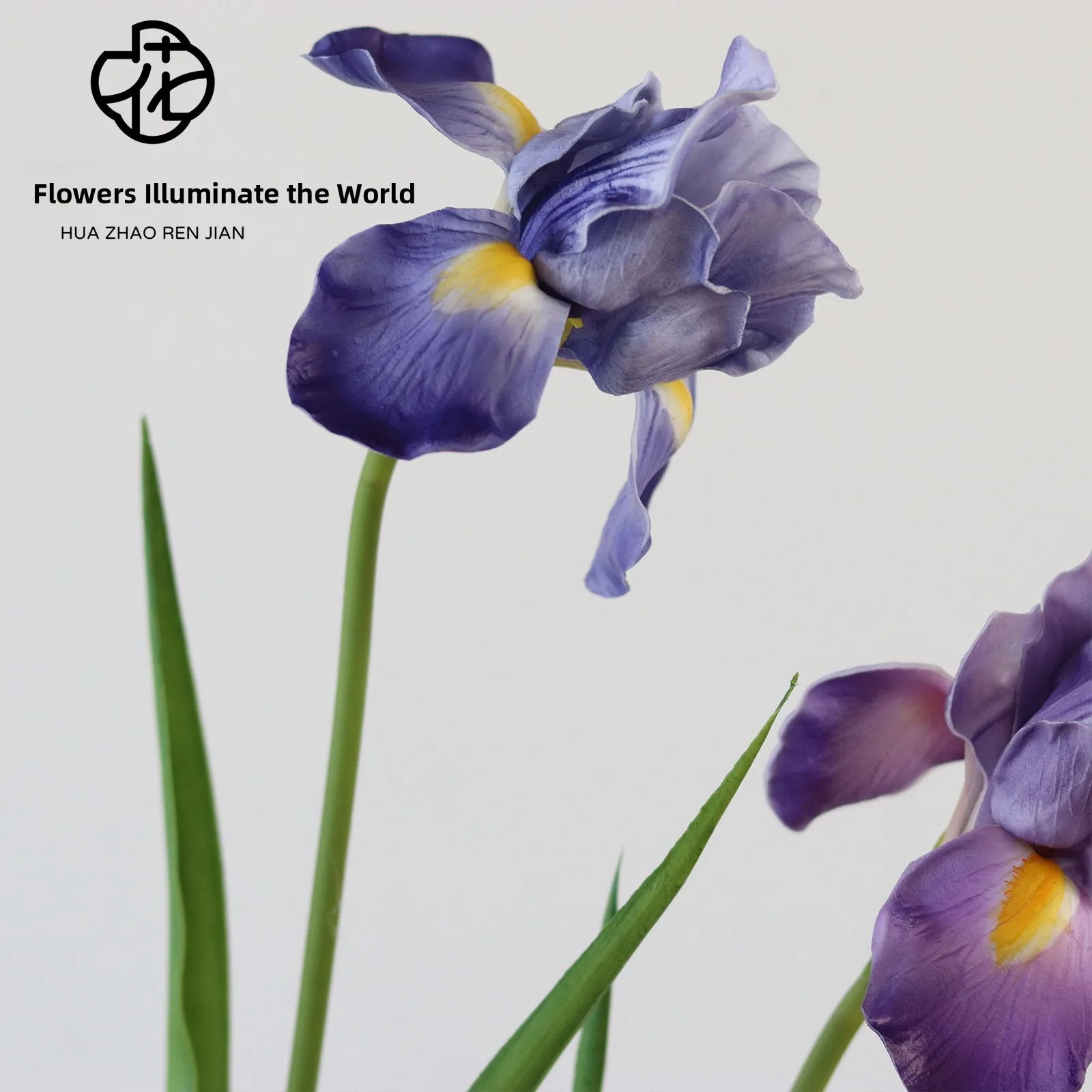 High-Quali Iris Art… - image