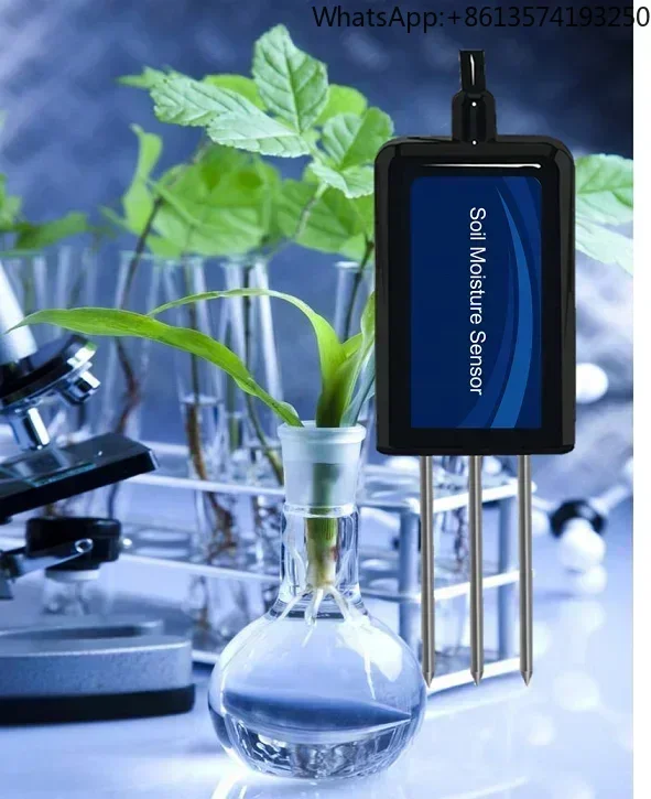 2025 Server Softwar…