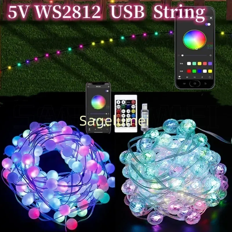 ไฟ LED สายยาวแบบ USB 5V RGBIC Ws2812 พิกเซลไลท์ สำหรับตกแต่งงานคริสต์มาส งานแต่งงาน งานปาร์ตี้ ไฟประดับกันน้ำ ควบคุมผ่านแอพและรีโมท 5 เมตร/10 เมตร