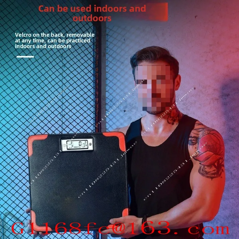 Professional Hanging Portable Boxing Dynamometer