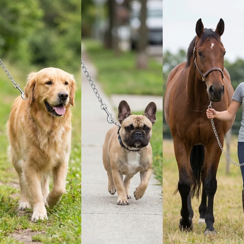 Equine Horse Leads Chain with Bolt & Swivels Eye End Horse Control Chain for Safe And Comfortable Equine Control 4XBB