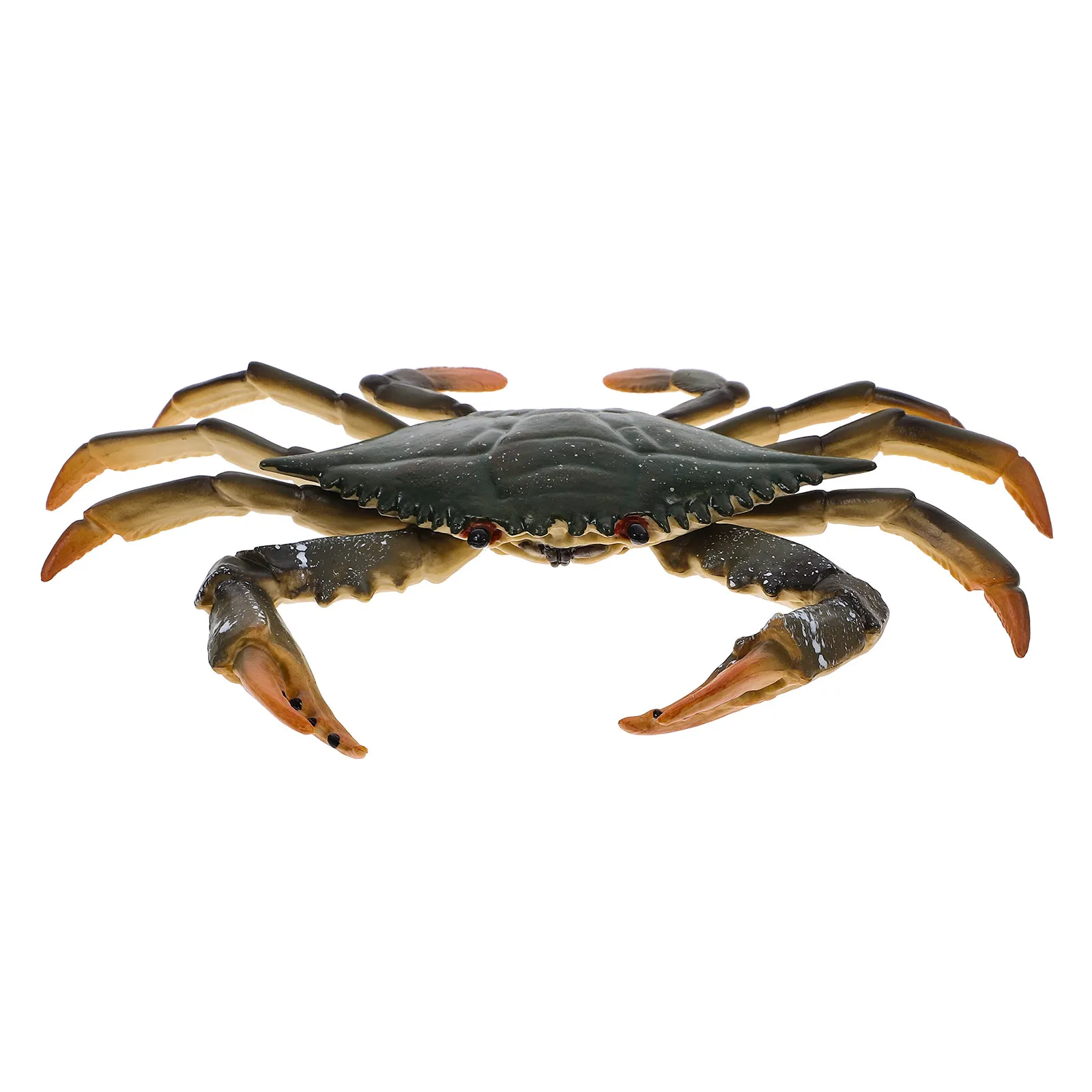 

1Pcs Premium Crafted Crab Themed Educational Plaything for Kids Natural Look Develops Imagination Suitable As Room Decorative