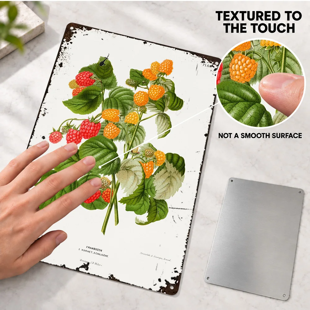 Botanical Illustration Of Raspberries Printed Poster Bold Design Bedroom Wall Art Personalized Aluminum Metal Sign Unique Gift