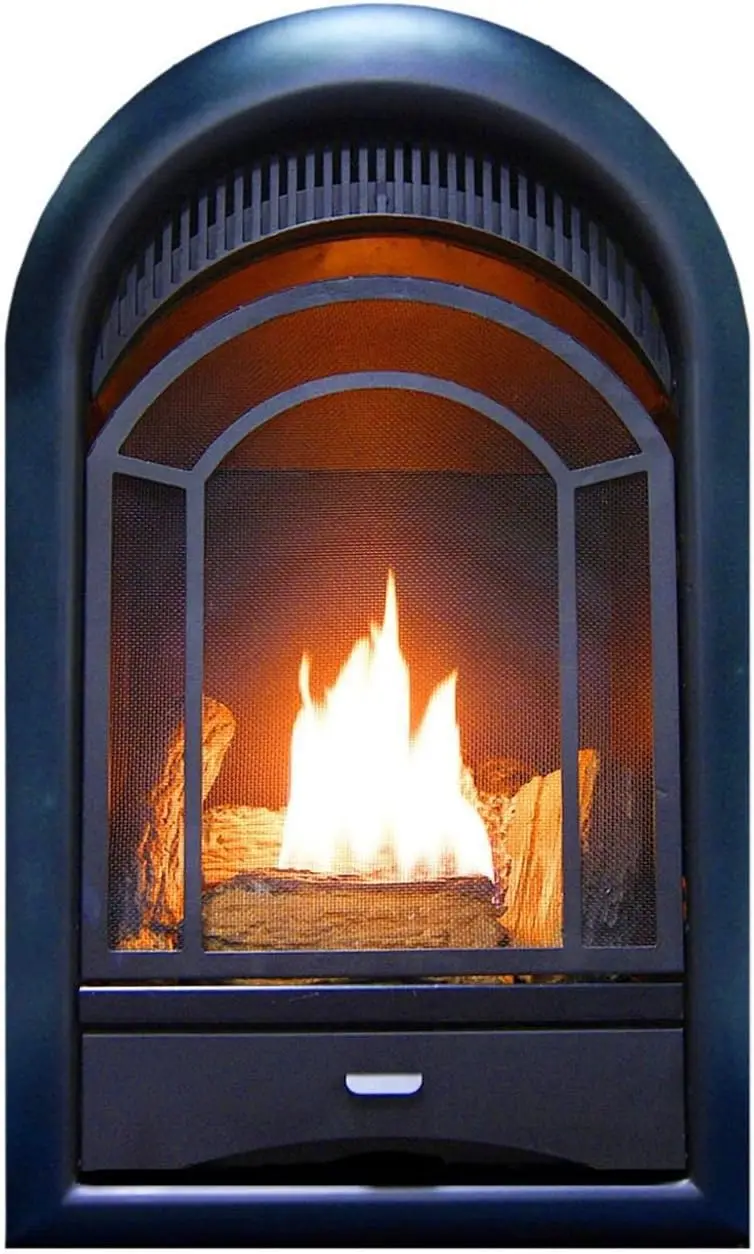 Dual Fuel Ventless Gas Fireplace Insert with Thermostat Control, 5 Hand-Painted Fire Logs, Use with Natural Gas or Liquid