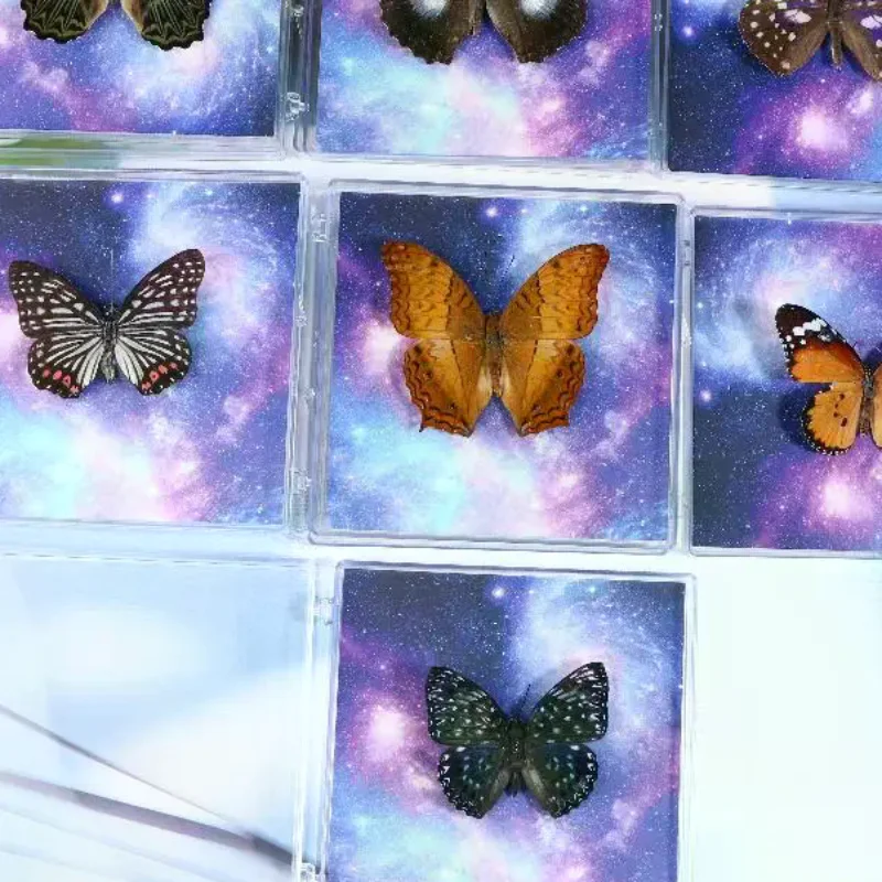 1Pc Real Butterfly Specimen With Galaxy Background Acrylic Box Taxidermy Display For Home Decor Girls Kids Birthday Gifts