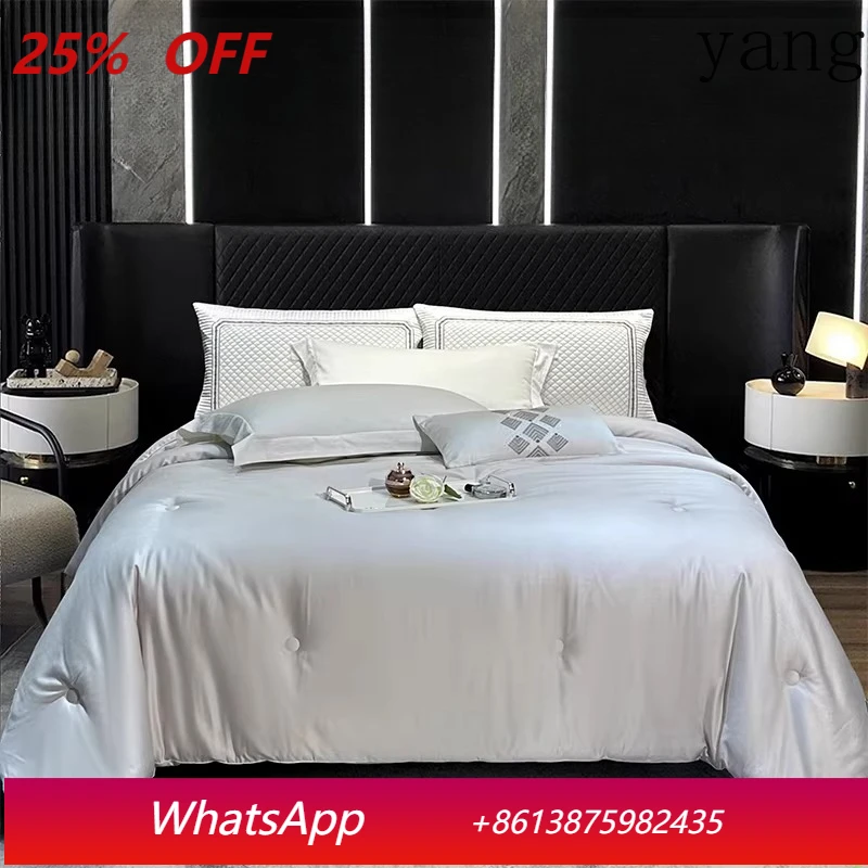 

LH quilt core universal all seasons thickened warm winter quilt soybean quilt