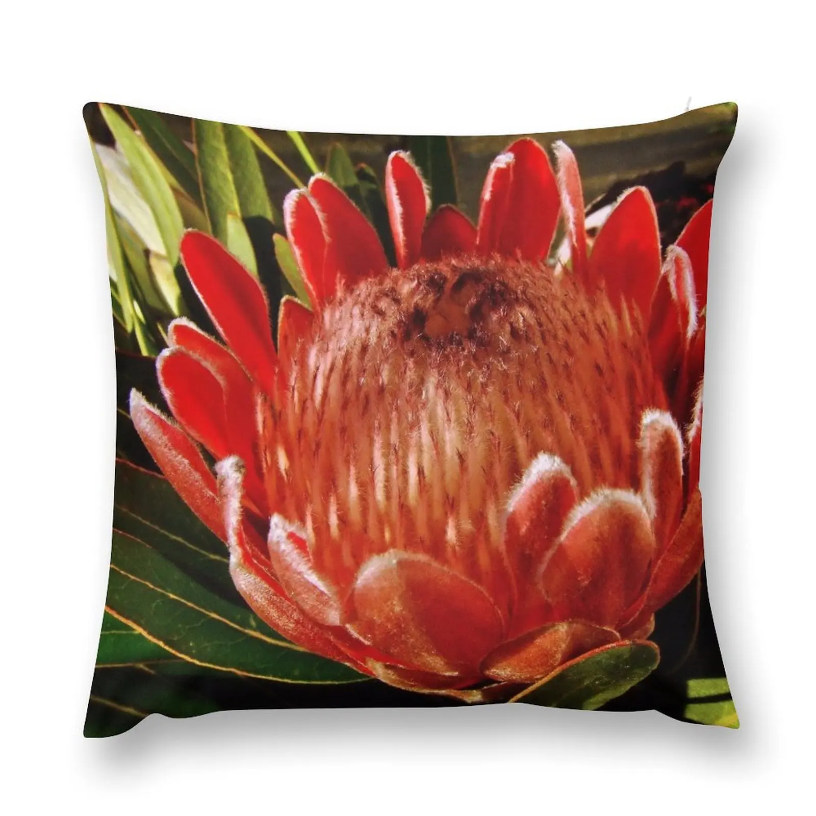 Protea Throw Pillow ornamental pillows Pillowcase pillow