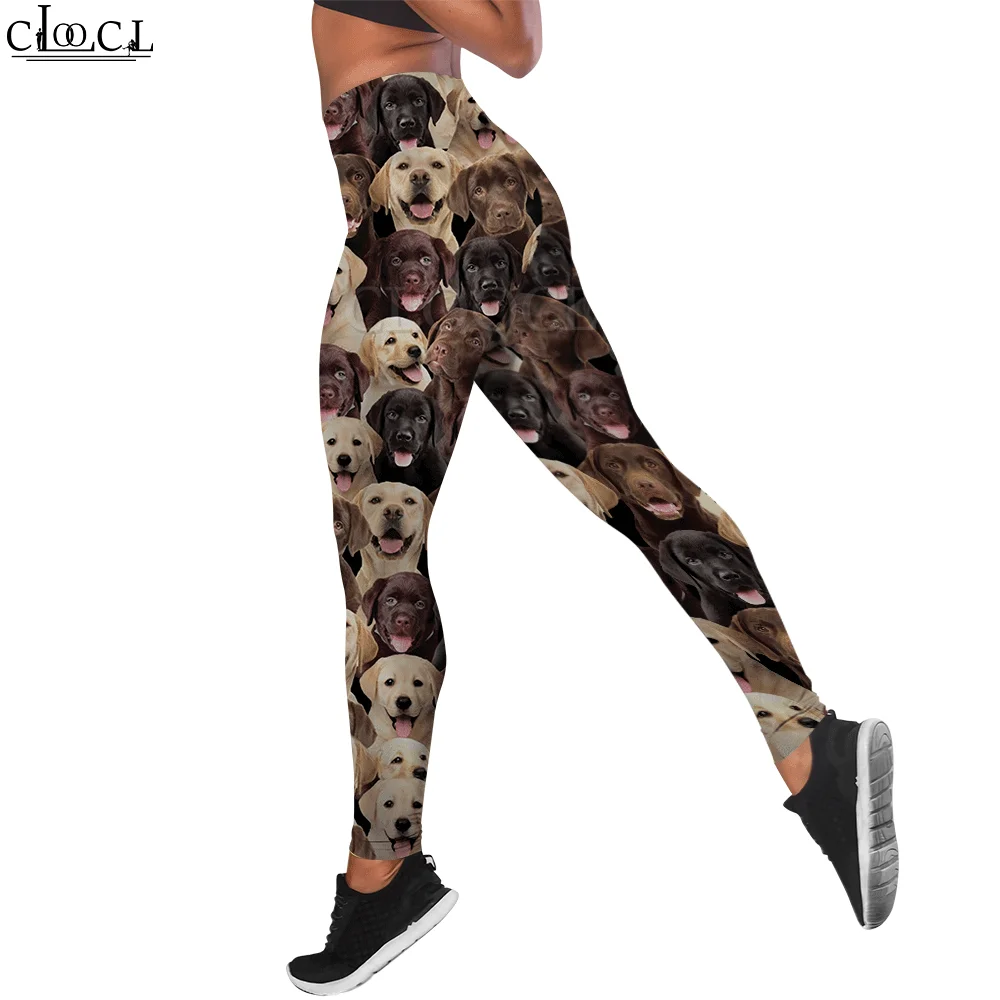 Cloocl mulheres esporte leggings de fitness labrador animal 3d impresso calças esportivas yoga calças justas para mulher push up