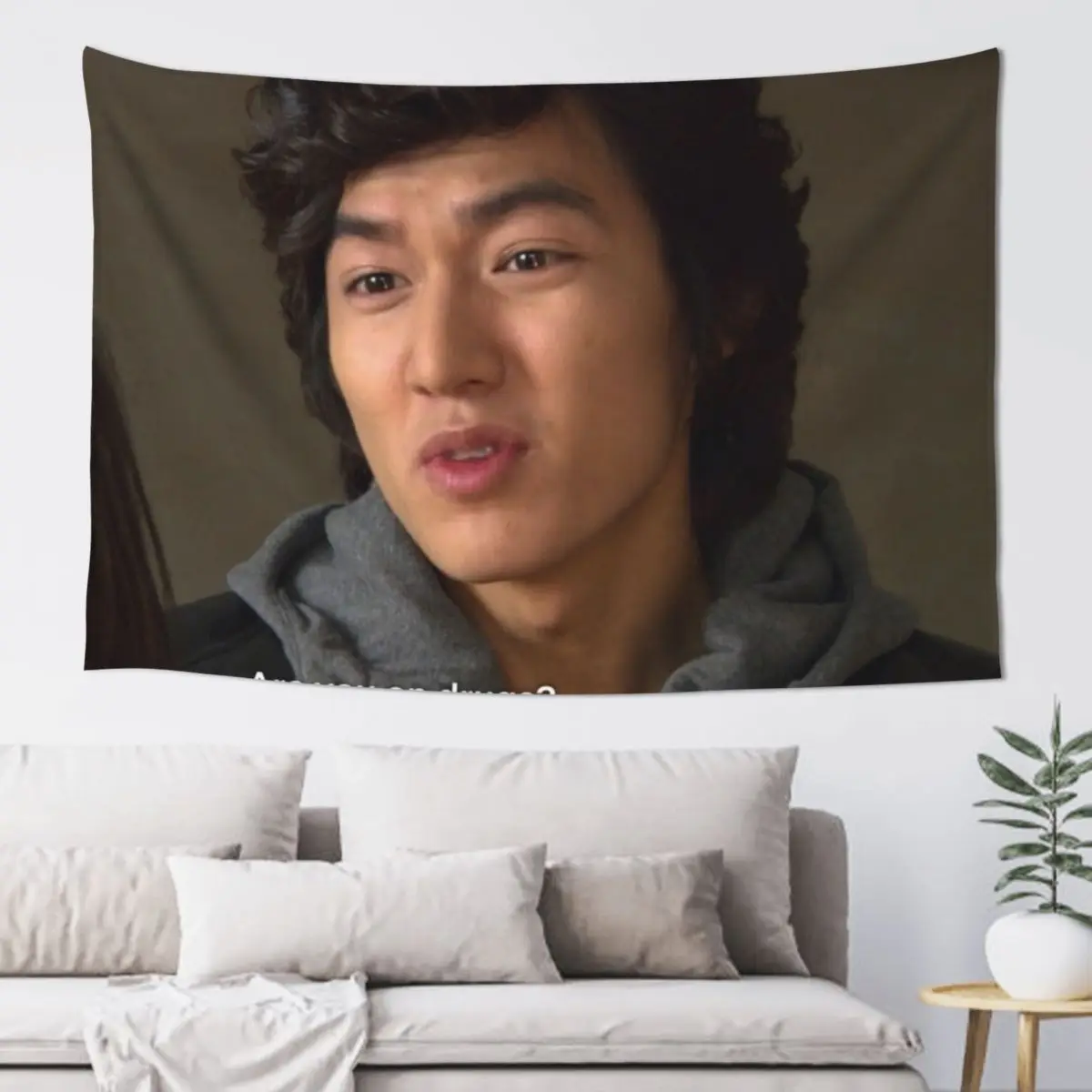 

Boys Over Flowers Meme Tapestry Aesthetic Room Decors Decoration For Bedroom Tapestry